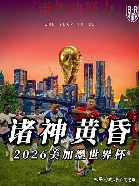 世界杯买球网站哪个好别乱选，深度解析给你答案（World Cup 2026）