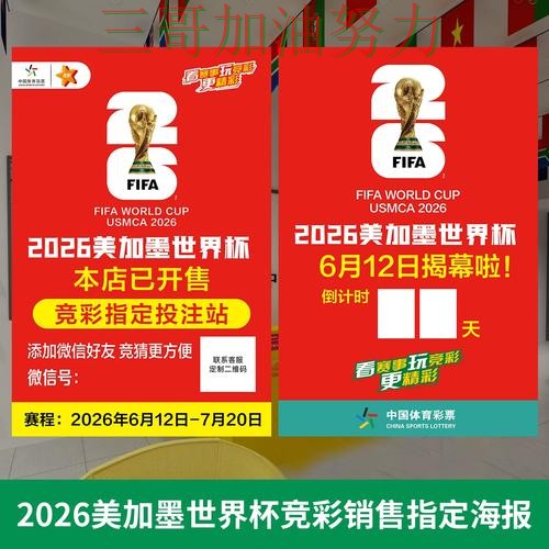 世界杯投注网站大全如何操作？实测对比带你了解（世界杯官方信息）
